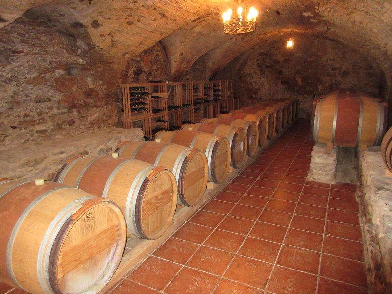 wijnkelder